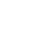 icon Chicken