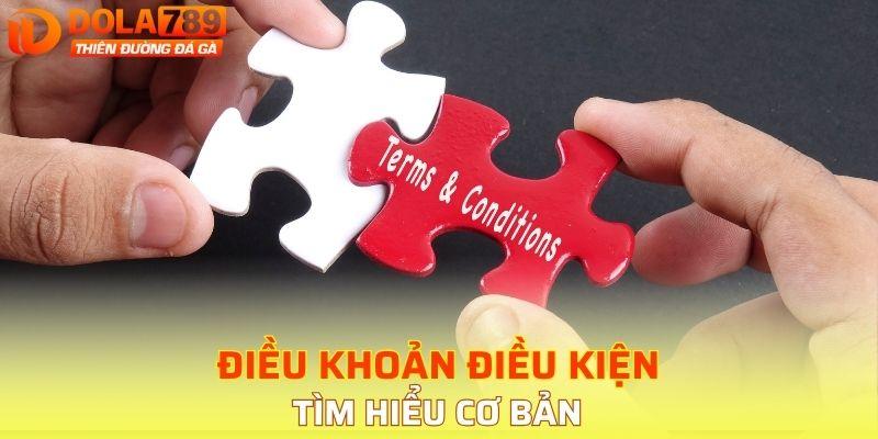 Tìm hiểu cơ bản về điều khoản điều kiện chi tiết
