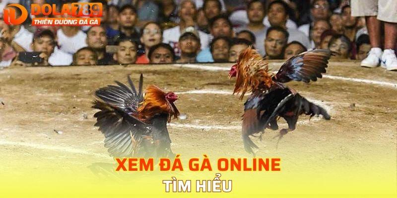 Tìm hiểu về hình thức xem đá gà online