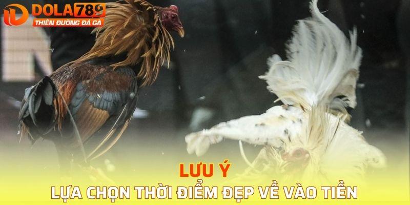 Lựa chọn thời điểm đẹp về vào tiền