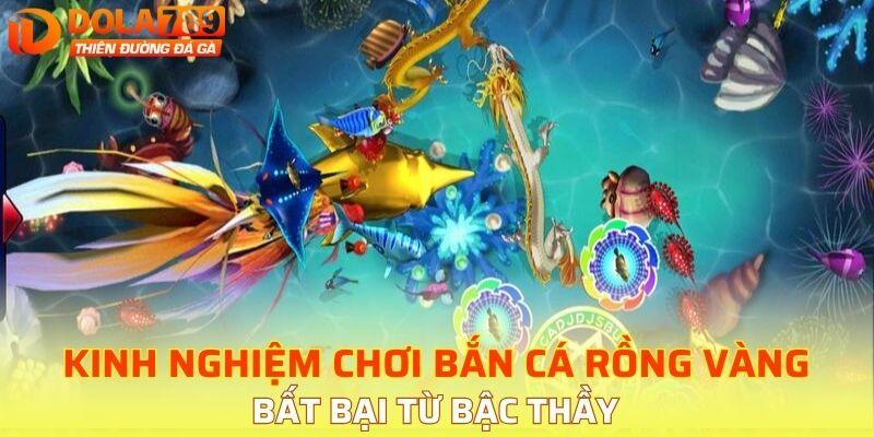 Bí kíp chinh phục săn cá rồng vàng cực kỳ đỉnh cao