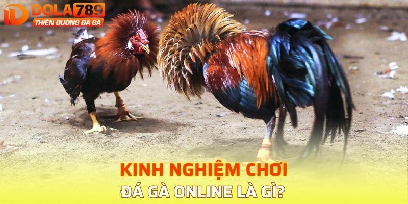 Đá gà online thu hút người chơi - Chiến thắng hấp dẫn