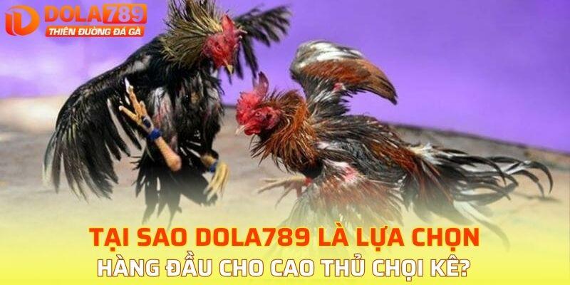 Mức độ an toàn chỉ có tại DOLA789